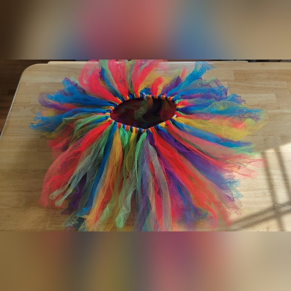 Other - Handmade rainbow tutu